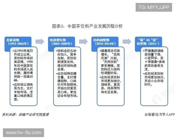 聚焦湛江足球黑仔球员完整阵容深度解析与球队实力全景呈现综述